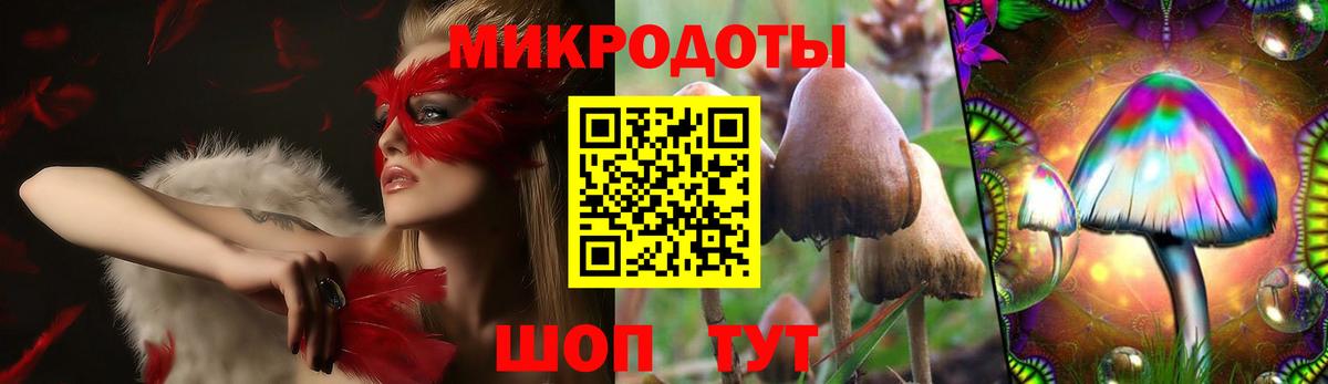 Старая Купавна  Галлюциногенные грибы MAGIC MUSHROOMS  Вход с VPN 